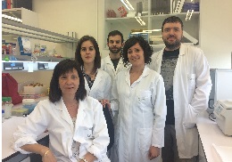 Nuria Paricio, Cristina Solana, Pablo Calap, Verónica Muñoz and Francisco J. Sanz